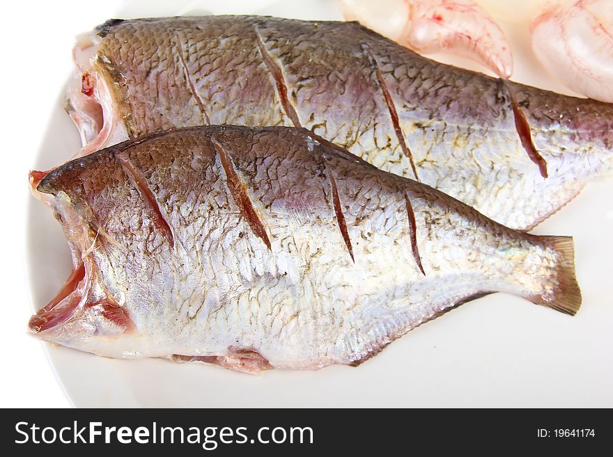 Pike perch close up on white background