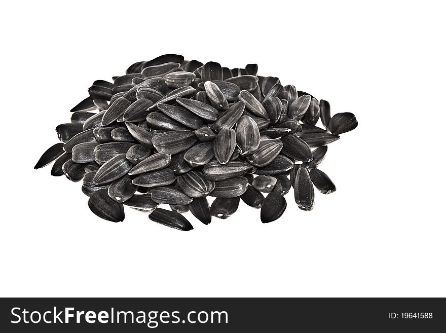 Sunflower Seeds