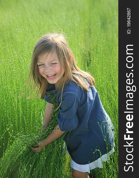 Young girl standing on field of flax. Young girl standing on field of flax