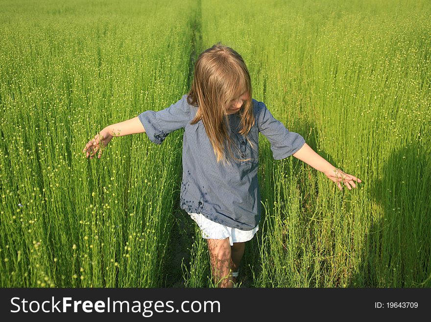 Young girl walking on field of flax. Young girl walking on field of flax