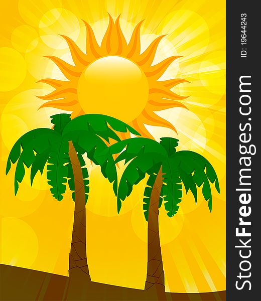 Palm trees with summer sun and glowing sky. Palm trees with summer sun and glowing sky