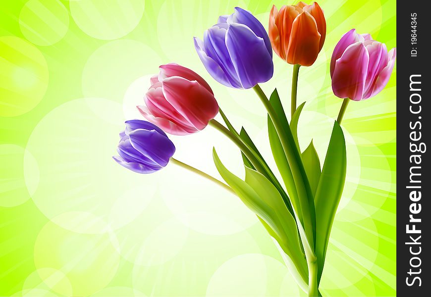 Red, purple and pink tulips on a glowing green background. Red, purple and pink tulips on a glowing green background