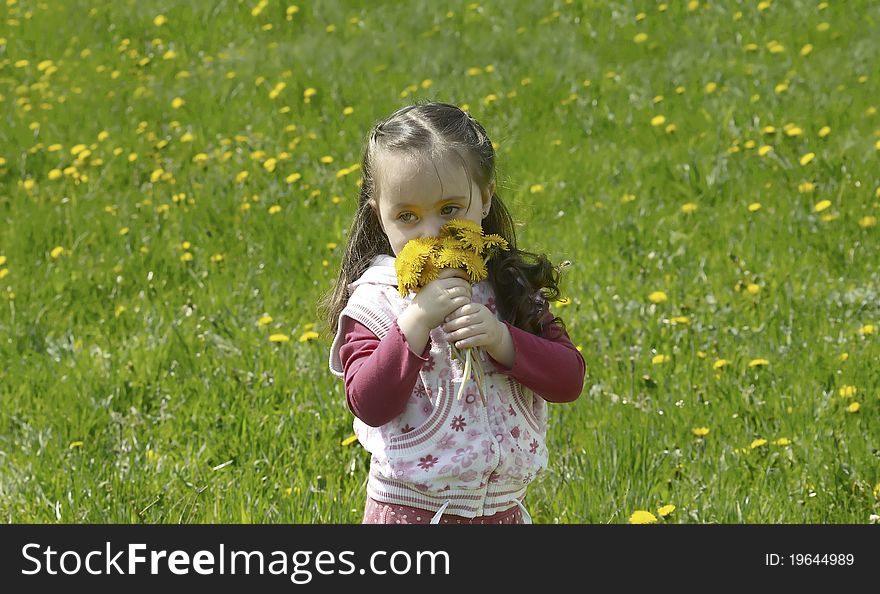 Little Girl Collect Flowers