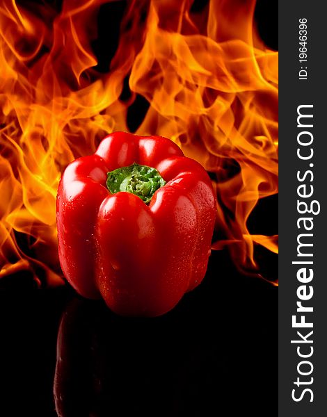 Photo of vivid colorful pepper with fire flames on the background. Photo of vivid colorful pepper with fire flames on the background