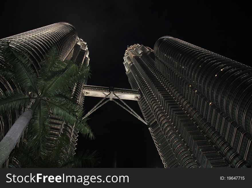 Petronas towers at night with a plam. Petronas towers at night with a plam