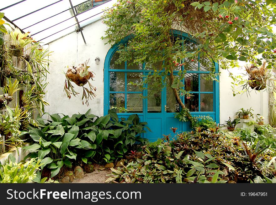 Greenhouse filled with tropical plants and blue door in background. Greenhouse filled with tropical plants and blue door in background