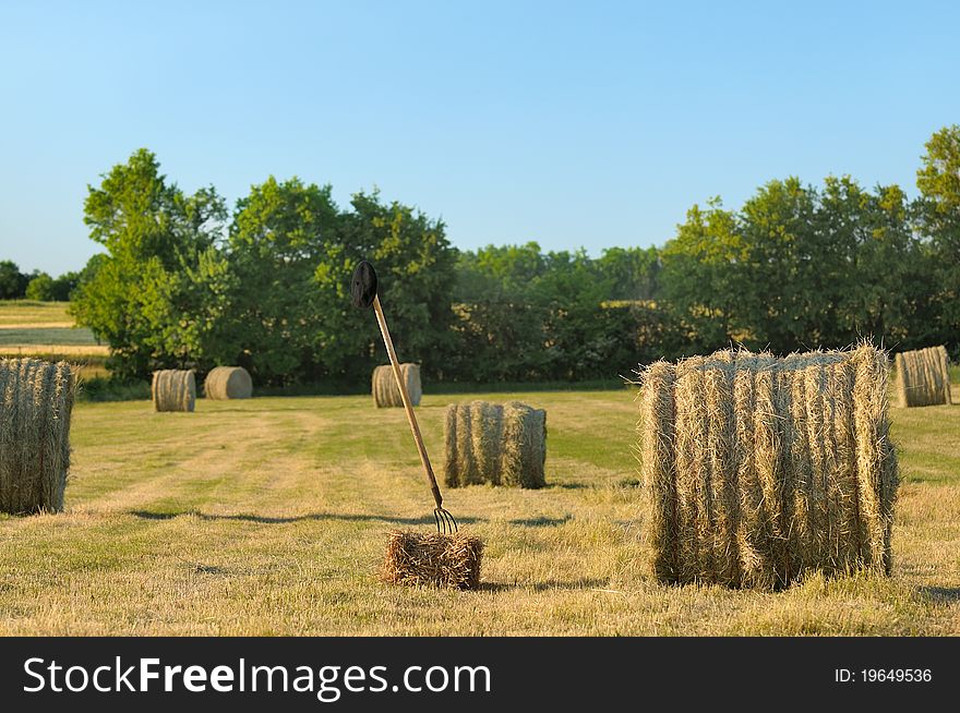 Harvesting hay on a summer evening