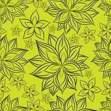 Vector Seamless Floral Pattern Royalty Free Stock Photos Vector Seamless Floral Pattern Royalty Free Stock Photos