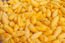 Silk Cocoons Image Royalty Free Stock Images Silk Cocoons Image Royalty Free Stock Images