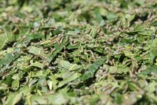 Silk Royalty Free Stock Photos Silk Royalty Free Stock Photos