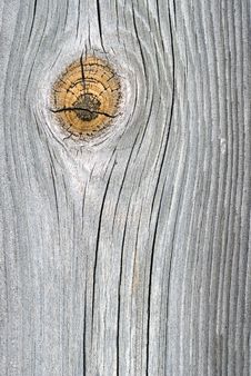 Oak Plank Royalty Free Stock Photography Oak Plank Royalty Free Stock Photography