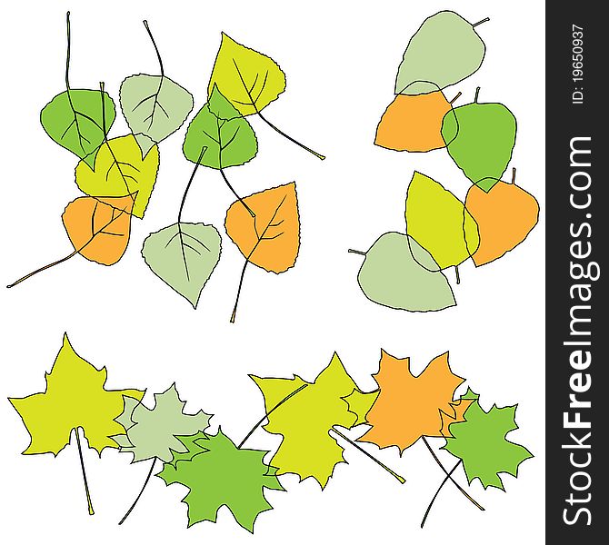 Leaf, Collection For Designers