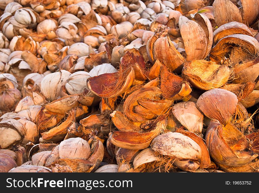 A large number of coconut shells for further use. . A large number of coconut shells for further use.