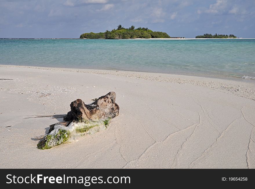 Maldives Beach