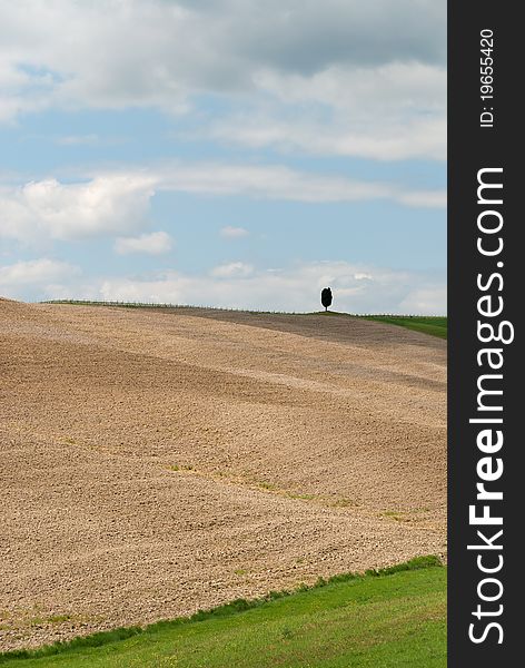 Plowed Land In Tuscany