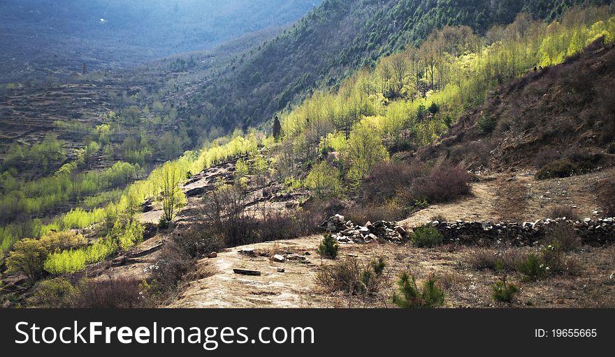 The spring color of the Tibetan villages