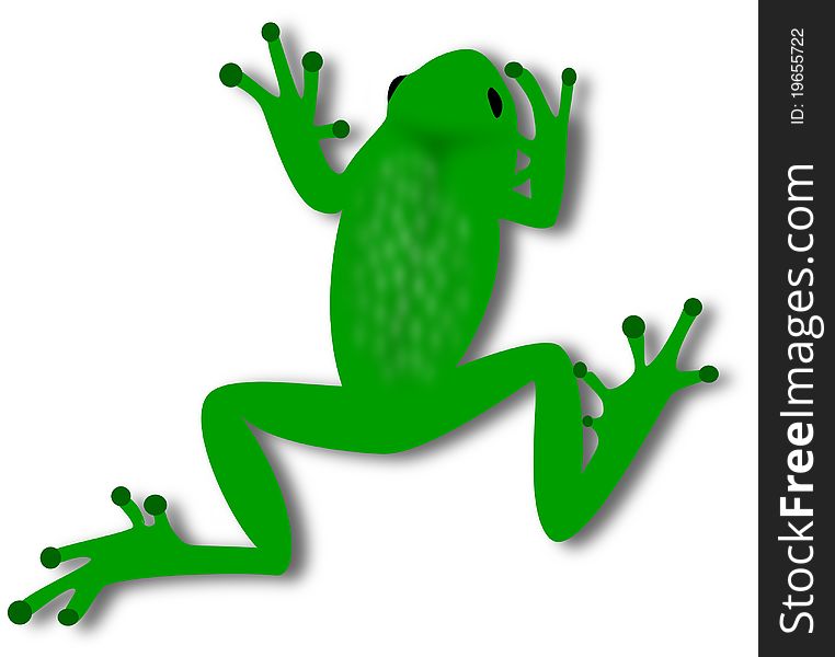 A green ilustrated frog on white background