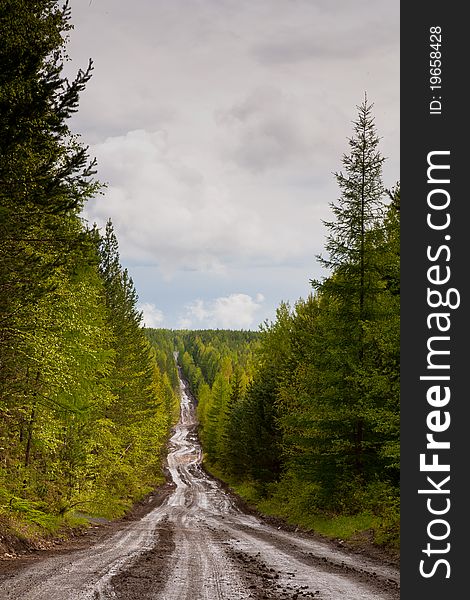 Beautiful view in Russian region with road to wild forest. Beautiful view in Russian region with road to wild forest