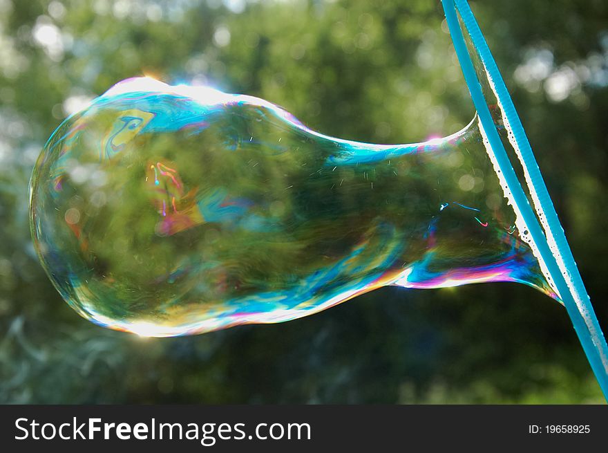 Large soap bubble on greenery background