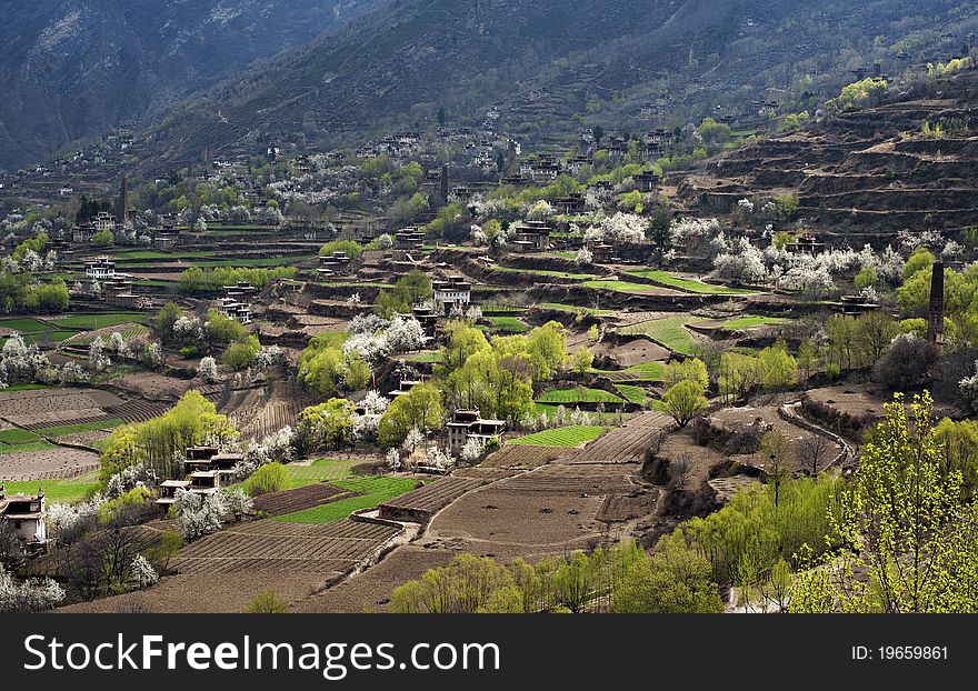 The Tibetan Villages