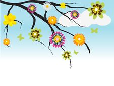 Tree With Flowers Stock Photography Tree With Flowers Stock Photography