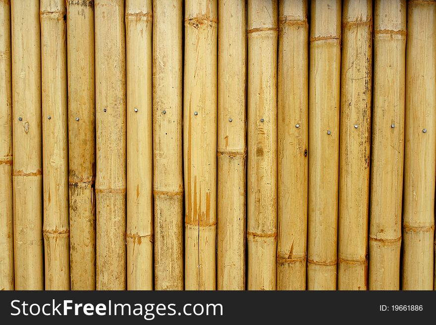 Close-up bamboo background texture with columns