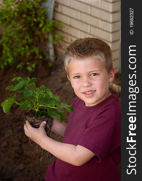 Young Boy Helping In The Garden