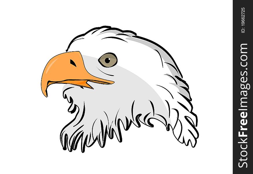 Illustration of head eagle on white. Illustration of head eagle on white