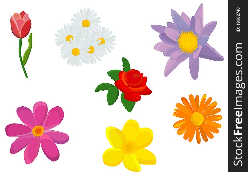 Illustration with flowers isolated on white background
