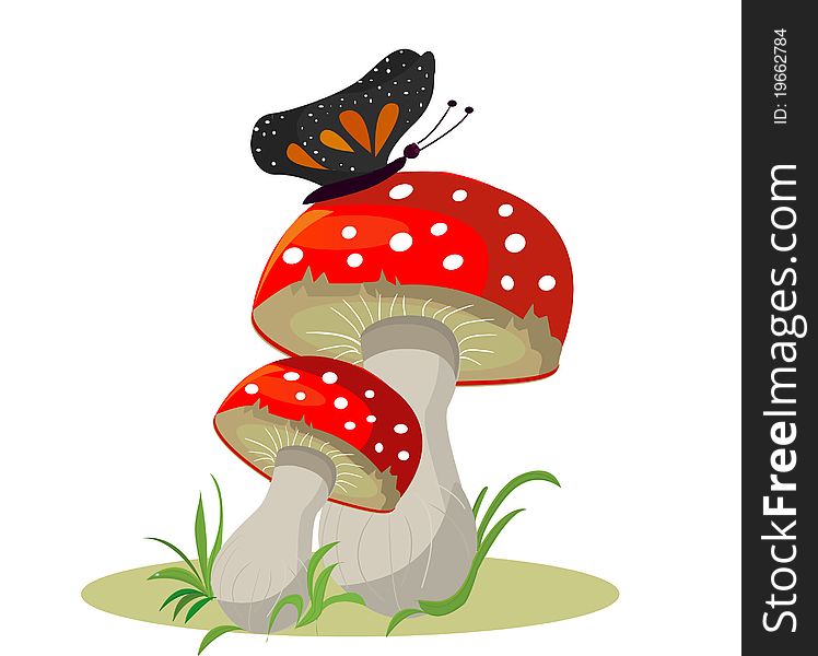 Mushrooms with butterfly on white