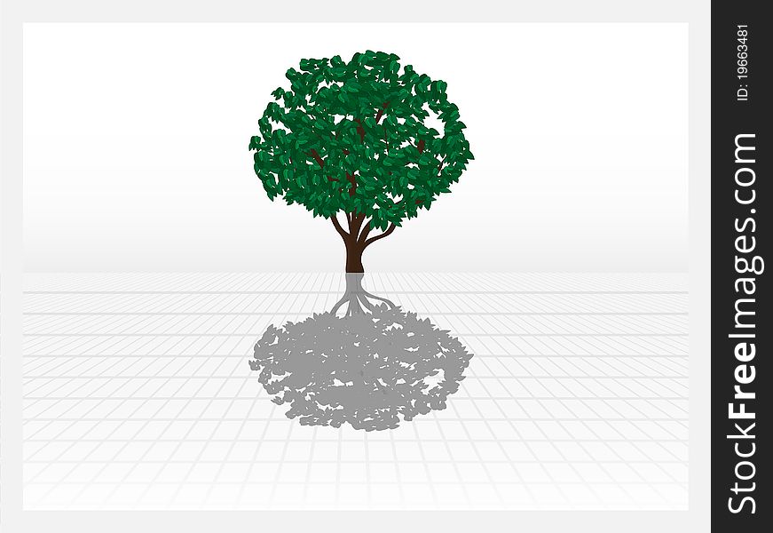 Vector abstract green tree and shadow.  White area. Vector abstract green tree and shadow.  White area