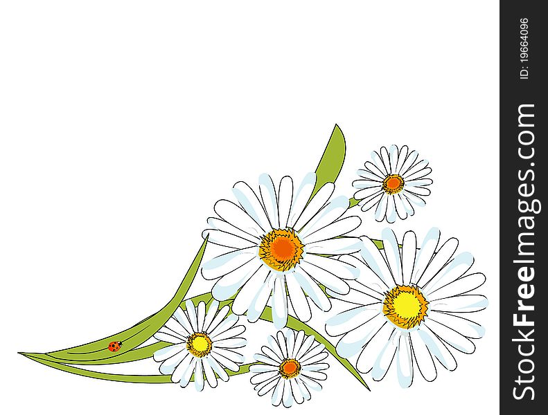 Chamomile design and ladybug on leaves