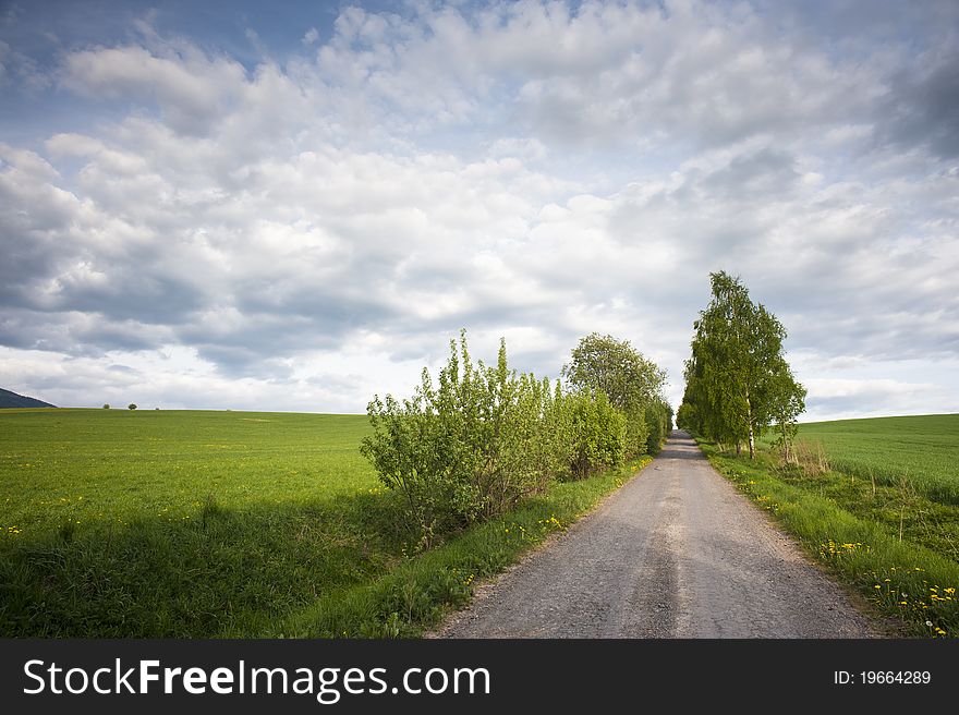 Field road with trees and sky with clouds in spring. Field road with trees and sky with clouds in spring