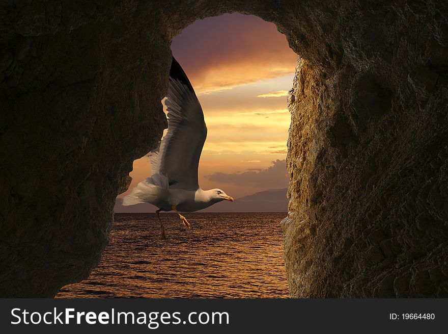 Seagull at sunset on a tropical beach through a cave, Greece