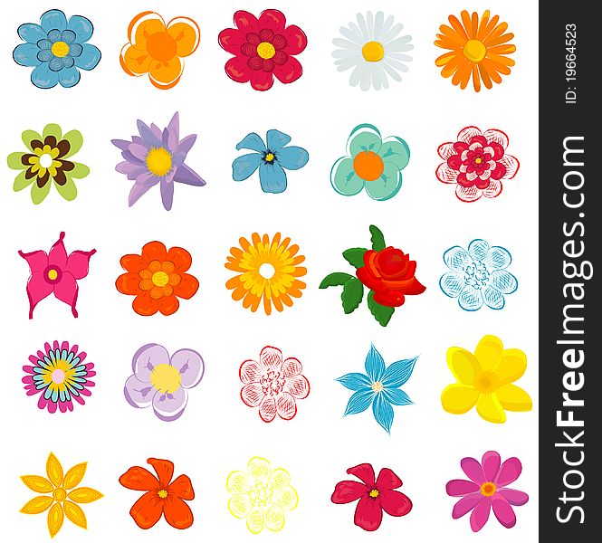 Colorful spring flowers illustration on white