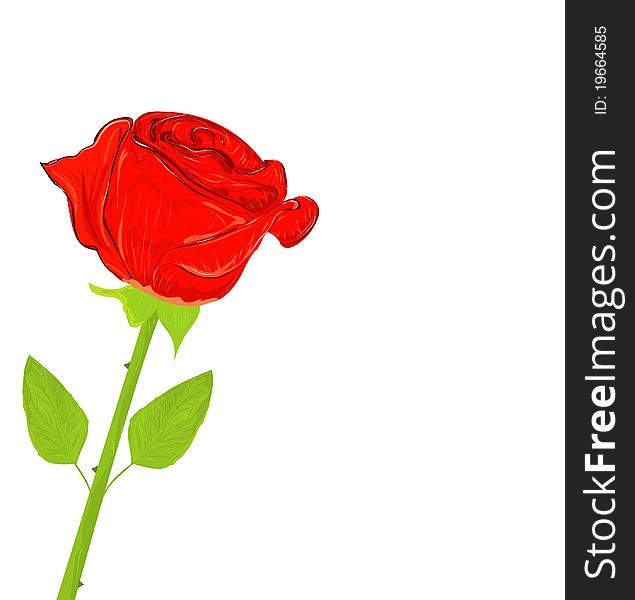 Realistic Beautiful red rose, illustration