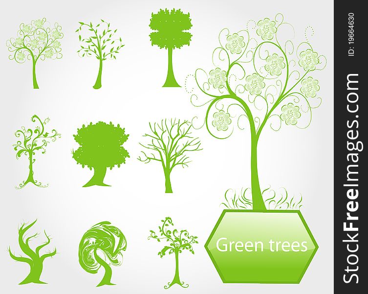 Eco green trees, symbols of nature protection