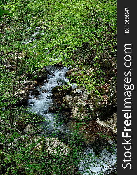 Wild stream between stones in green forest landscape. Wild stream between stones in green forest landscape