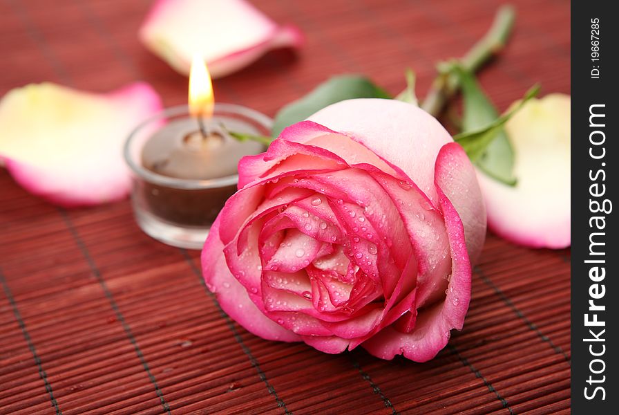 Rose and candle