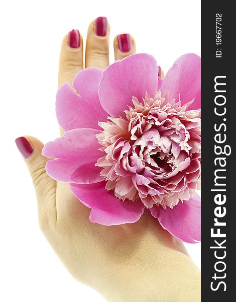 Hand With Flower