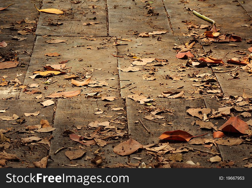 Old wooden path bridge with dry leaves. Old wooden path bridge with dry leaves