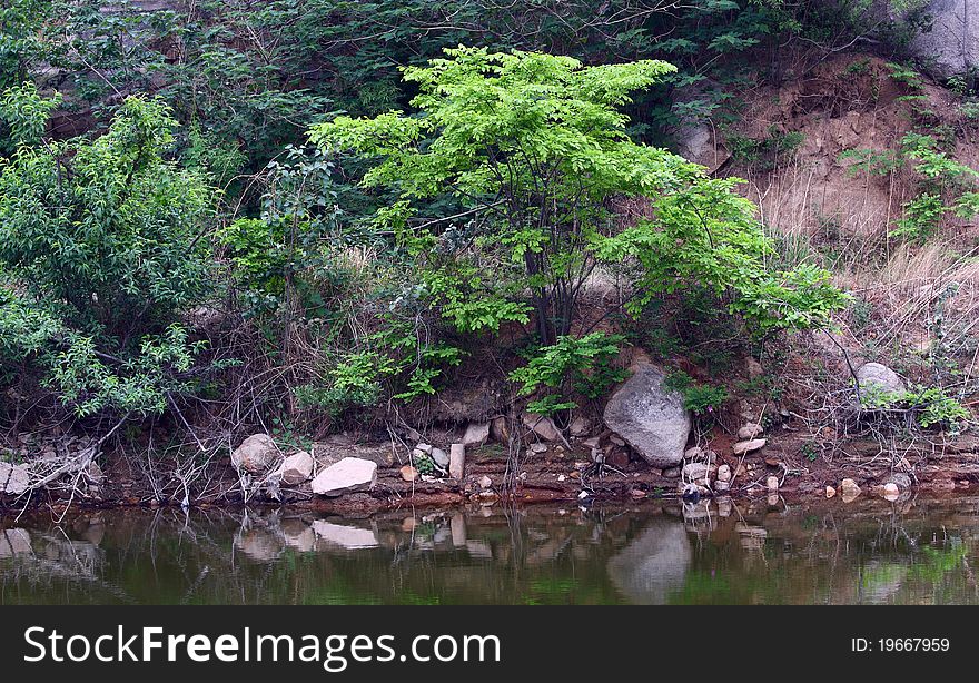 The pond in summer in valley.