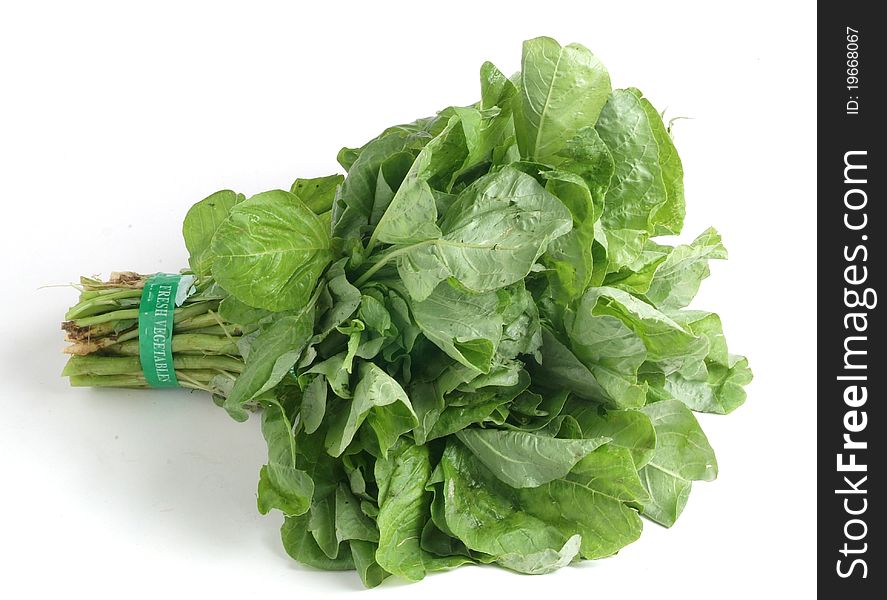 Fresh vegetable on white background