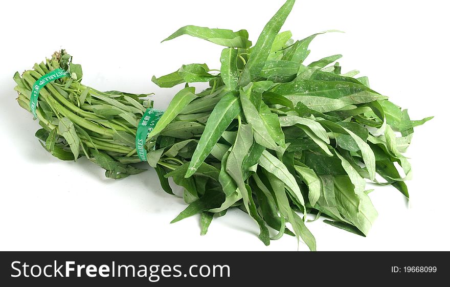 Fresh vegetable on white background