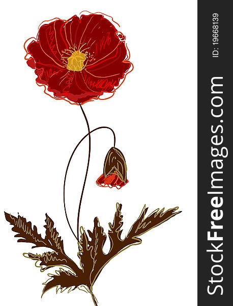 Vector illustration with drawing red poppy