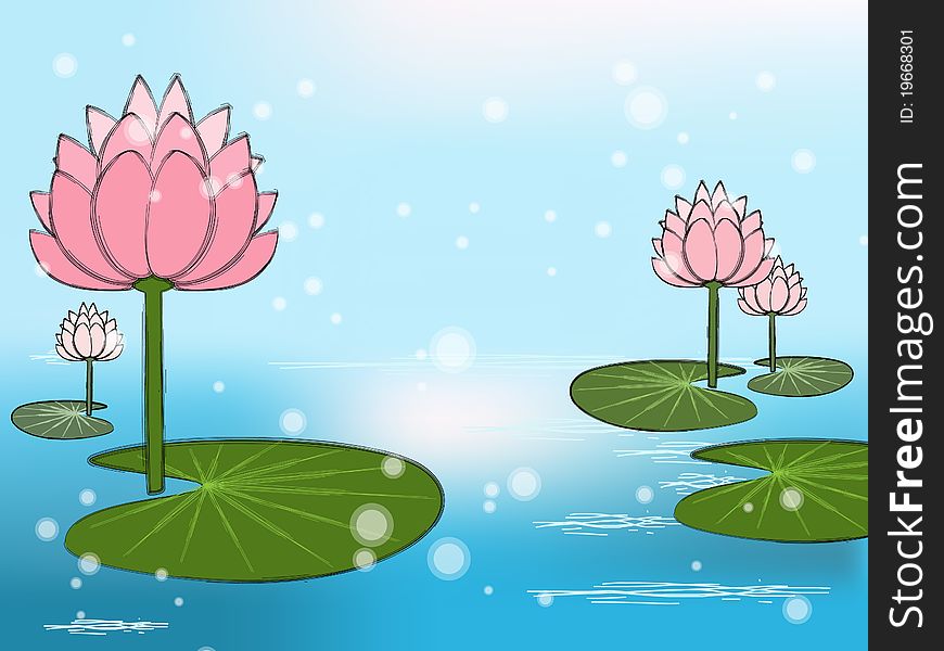 Lotus flowers on the water