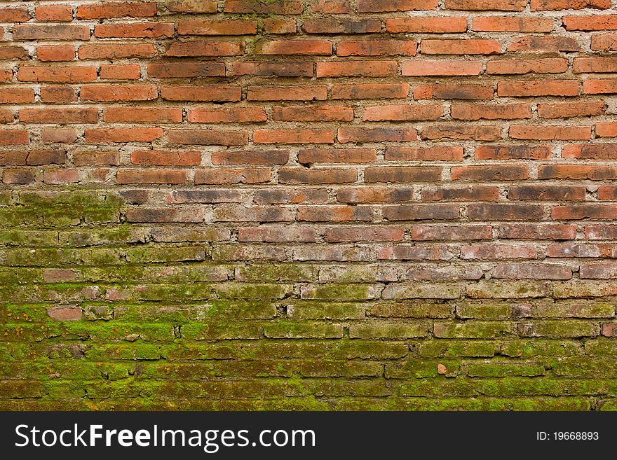 Old red brick wall with green lichen. Old red brick wall with green lichen