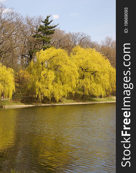 Golden Spring Landscape. Grenadier Pond - High Park - Toronto, ON. Golden Spring Landscape. Grenadier Pond - High Park - Toronto, ON