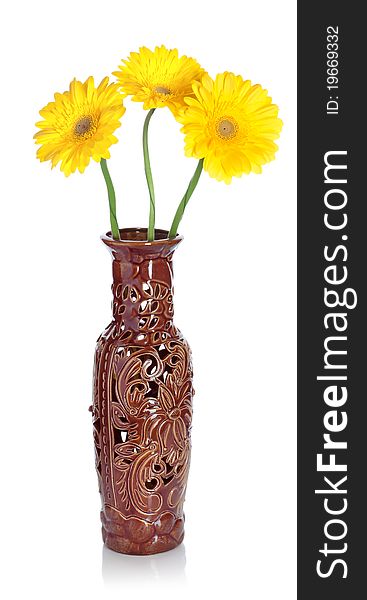 Gerbera in vase