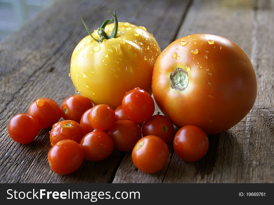 Fresh Organic Multi-Colored Tomatos with Waterdrops. Fresh Organic Multi-Colored Tomatos with Waterdrops